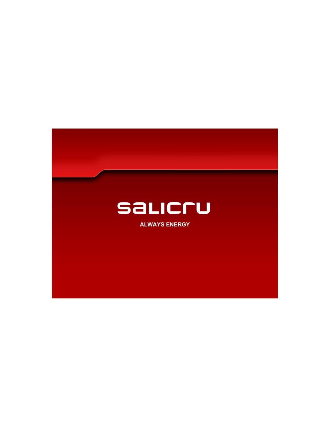 TARJETA SNMP/WEB SALICRU INTERNA WEB ADAPTER