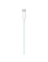 APPLE USB-C TO LIGHTNING CABLE 1M MM0A3ZM/A