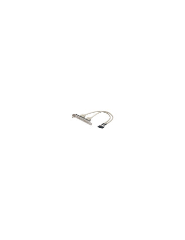 ADAPTADOR 2 X 5 PIN A USB H EWENT EW-100303-002-G-P