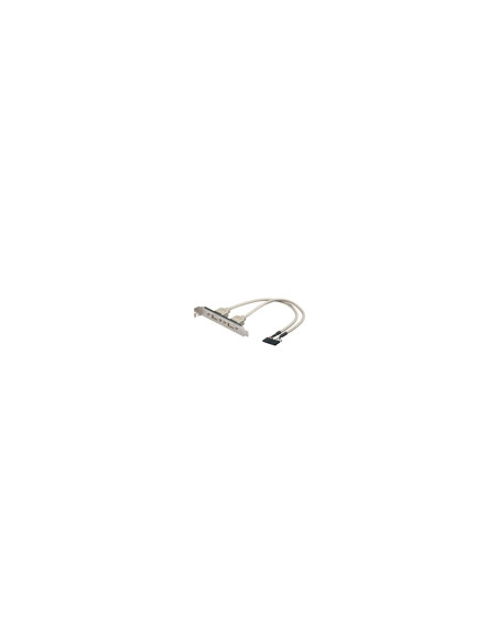 ADAPTADOR 2 X 5 PIN A USB H EWENT EW-100303-002-G-P