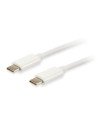 CABLE EQUIP PLATINUM USB-C MACHO A USB-C MACHO 2M BLANCO 128352
