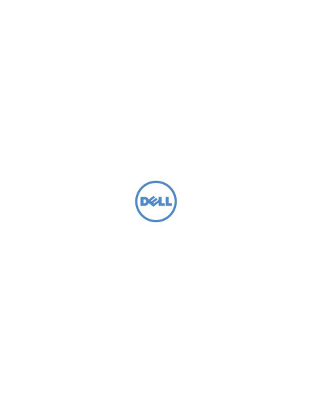 DELL Windows Server 2019 Essentials 1 licencia(s)