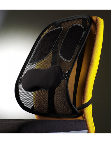 Fellowes 8029901 soporte lumbar para respaldos Grafito