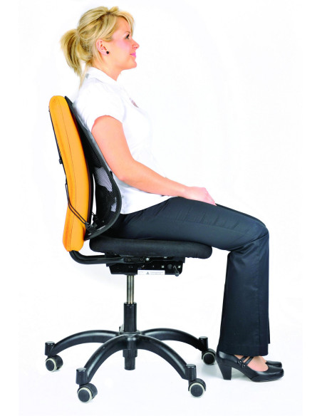Fellowes 8029901 soporte lumbar para respaldos Grafito