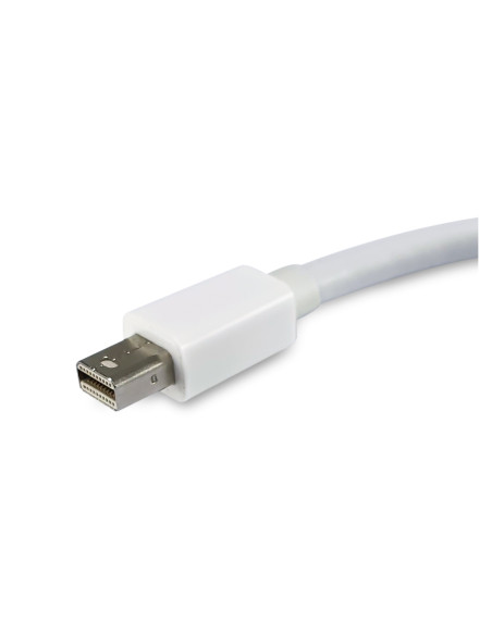 Equip Adaptador de Mini DisplayPort a DisplayPort, color blanco