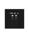 CABLE DISPLAYPORT EWENT DP/M - DP/M 3M NEGRO