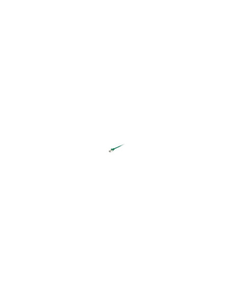 Equip 606411 cable de red Verde 30 m Cat6a S/FTP (S-STP)