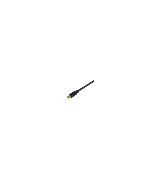 Equip Cable de Mini DisplayPort a DisplayPort, M/M, 2,0 m, 4K/60Hz