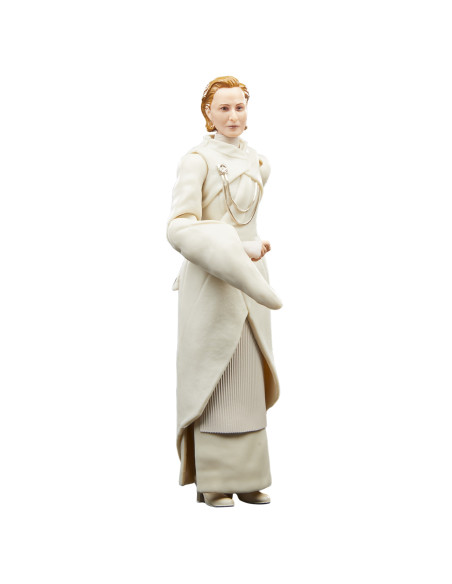 Star Wars The Black Series F55305X0 toy figure