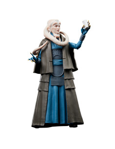 Star Wars The Black Series Bib Fortuna