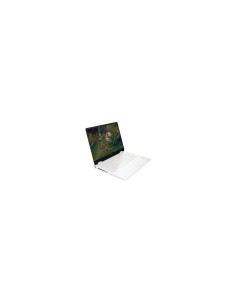 HP OMEN Gaming 16-am0046ns Intel® Core™ i9 i9-14900HX Portátil 40,6 2