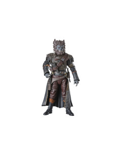 Star Wars The Black Series Pirate Captain Brutus (Port Borgo)