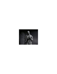 NECA Ultimate Mummy (Black & White) 2