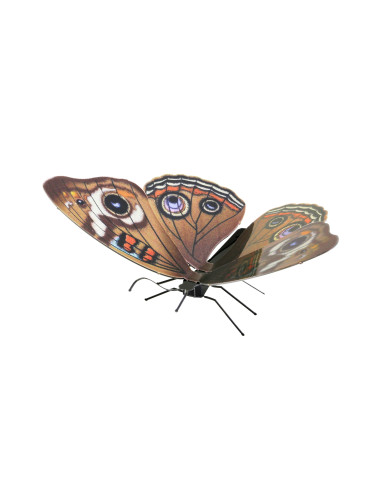 Metal Earth Buckeye