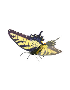 Metal Earth Tiger Swallowtail