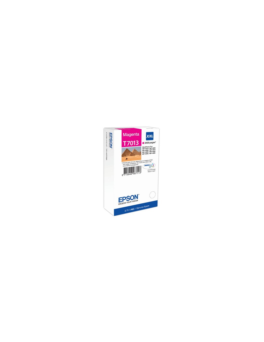 CARTUCHO EPSON T7013 MAGENTA C13T70134010