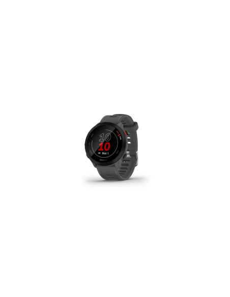 Garmin 010-02562-13 Relojes inteligentes y deportivos MIP 42 mm Gris GPS (satélite)