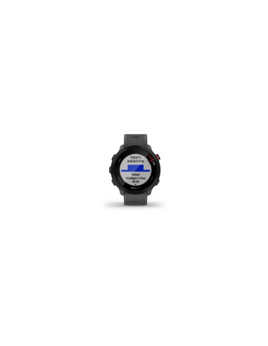 Garmin 010-02562-13 Relojes inteligentes y deportivos MIP 42 mm Gris GPS (satélite)