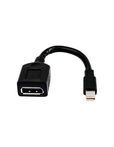 HP Cable adaptador sencillo miniDP a DP