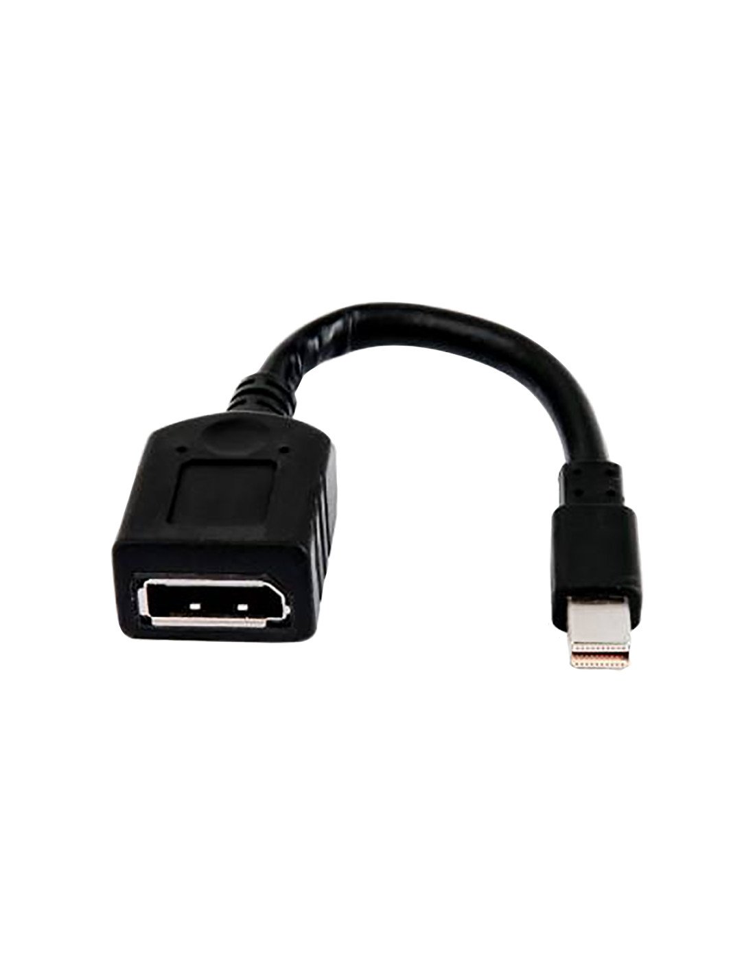 HP Cable adaptador sencillo miniDP a DP