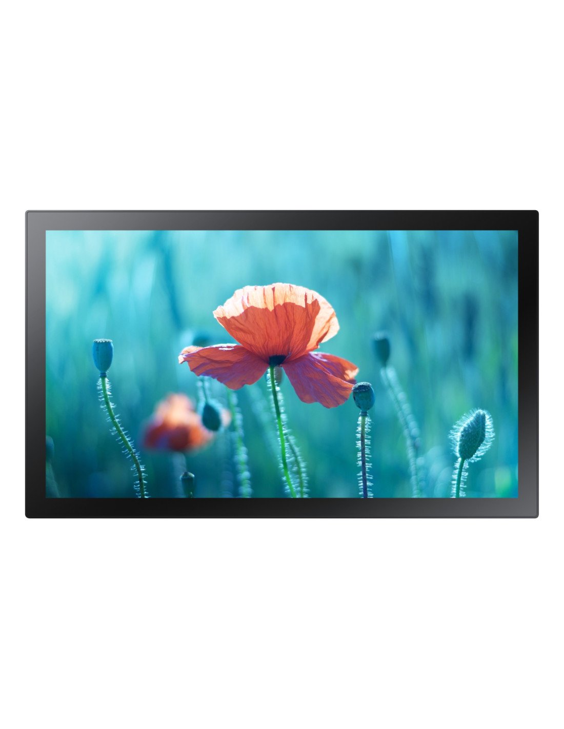 Samsung QB13R-TM Panel plano interactivo 33 cm (13") LED Wifi 500 cd / m² Full HD Negro Pantalla táctil Procesador incorporado T
