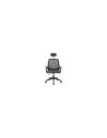 Mars Gaming MGC-ERGOB Asiento acolchado Respaldo de malla