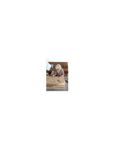 Wasgij Destiny 19 1000 pcs Puzzle rompecabezas 1000 pieza(s) Cómics 2