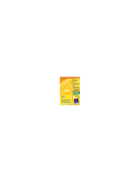 Avery Multi-Function Labels Blanco