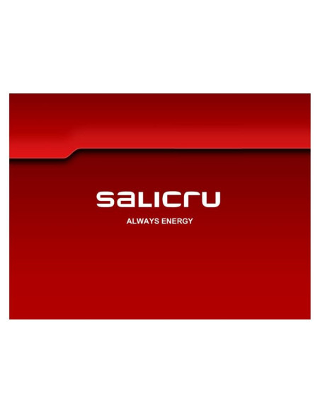 BATERIA UPS SALICRU 7AH/12V