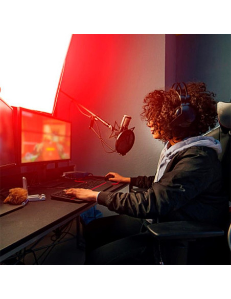 MICROFONO PHOENIX PROFESIONAL + BRAZO ARTICULADO + FILTRO ANTIPOP JACK