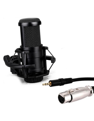 MICROFONO PHOENIX PROFESIONAL + BRAZO ARTICULADO + FILTRO ANTIPOP JACK