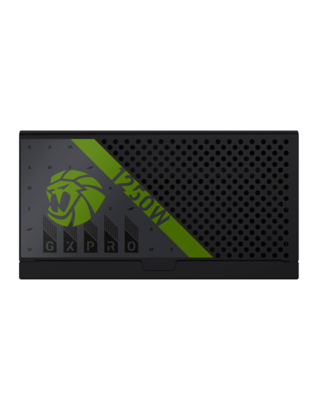 FUENTE DE ALIMENTACION GM 1250W PRO FULL MODULAR 80+ PLATINUM ATX3.1 PCIE5.1