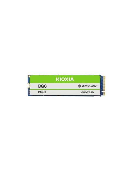 DISCO DURO SSD KIOXIA 256GB M.2 NVME 2280 M2