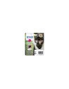 Epson Monkey Cartucho T0893 magenta
