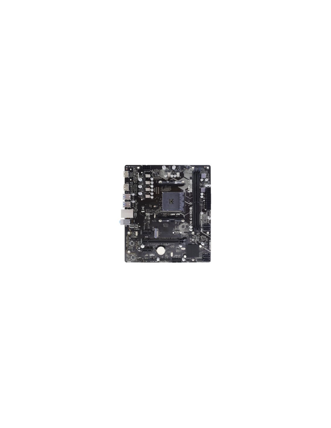 Biostar A520MT Placa base
