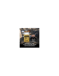Lexar Armor Gold 128 GB SDXC UHS-II 2