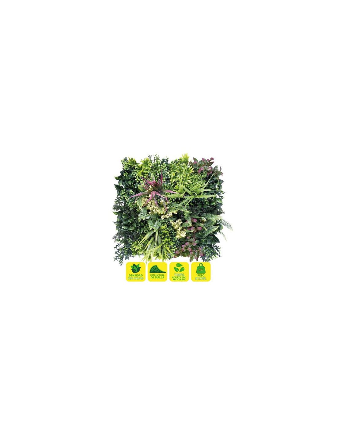 JARDIN VERTICAL 50X50CM SERIE ARBÓREA SUNGARDEN