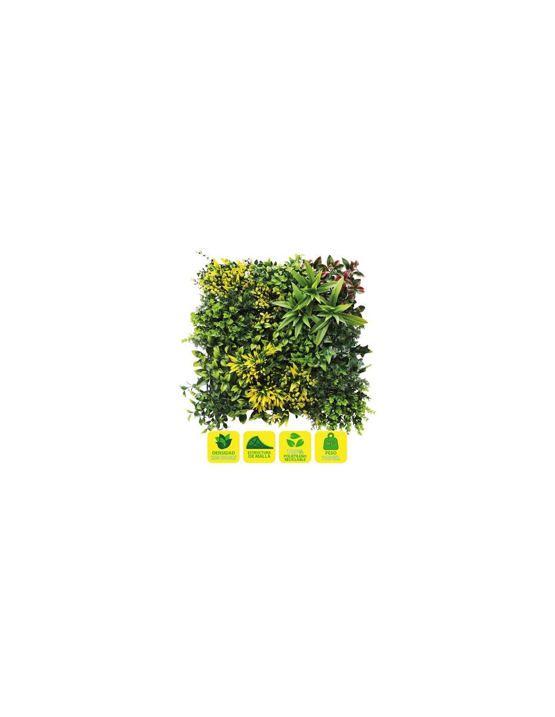JARDIN VERTICAL 50X50CM SERIE GREENWALL SUNGARDEN