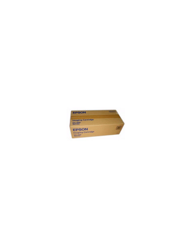 Epson Single Part Drum/Toner/Collector Cartridge cartucho de tóner 1