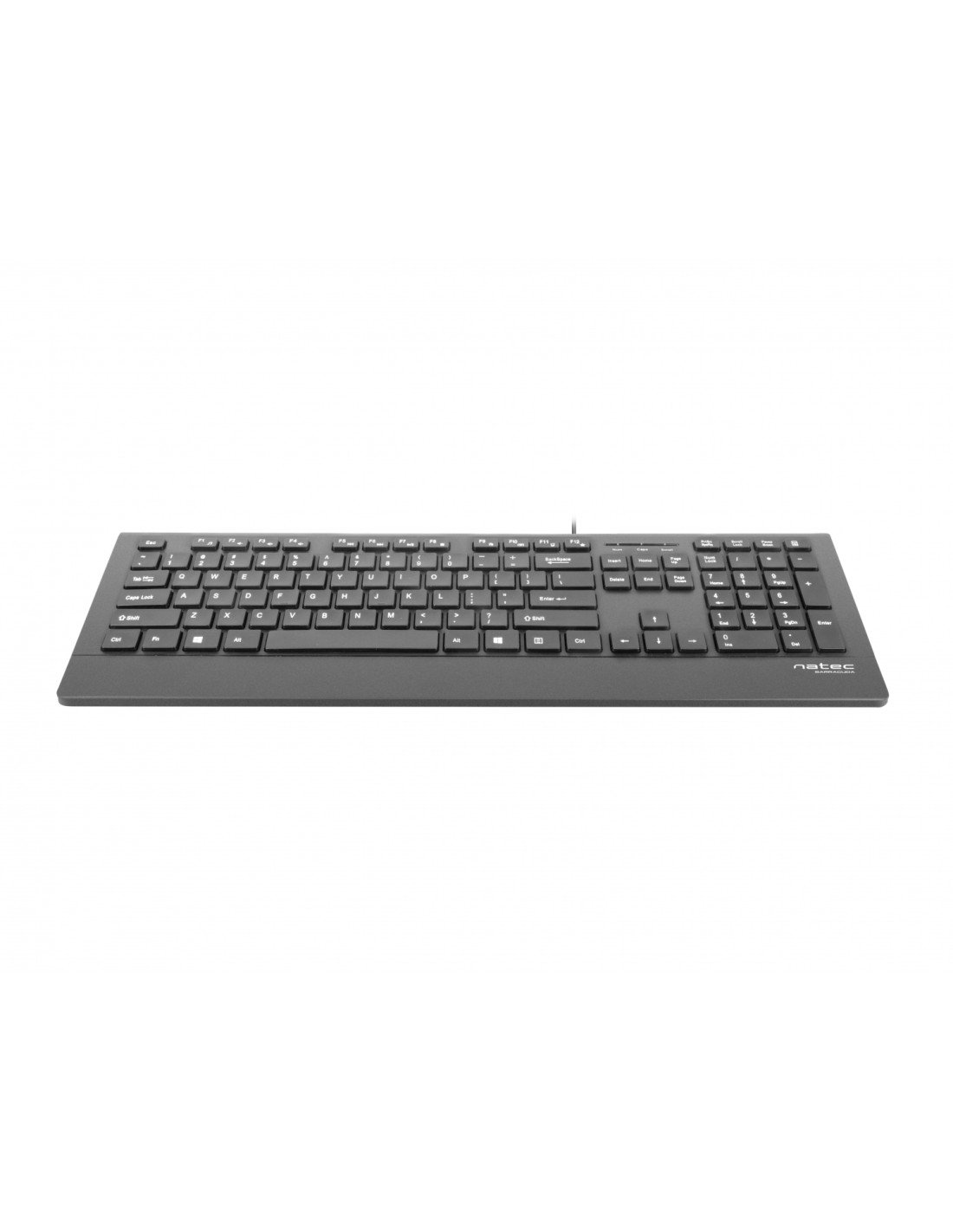 Natec Barracuda teclado USB QWERTY Español Negro