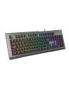 GENESIS Rhod 500 RGB teclado USB QWERTY Portugués Negro, Plata