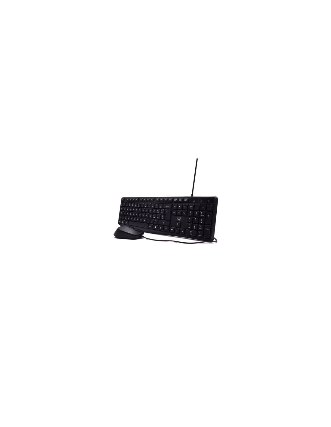 Ewent EW3005 teclado Ratón incluido Oficina USB QWERTY Italiano Negro