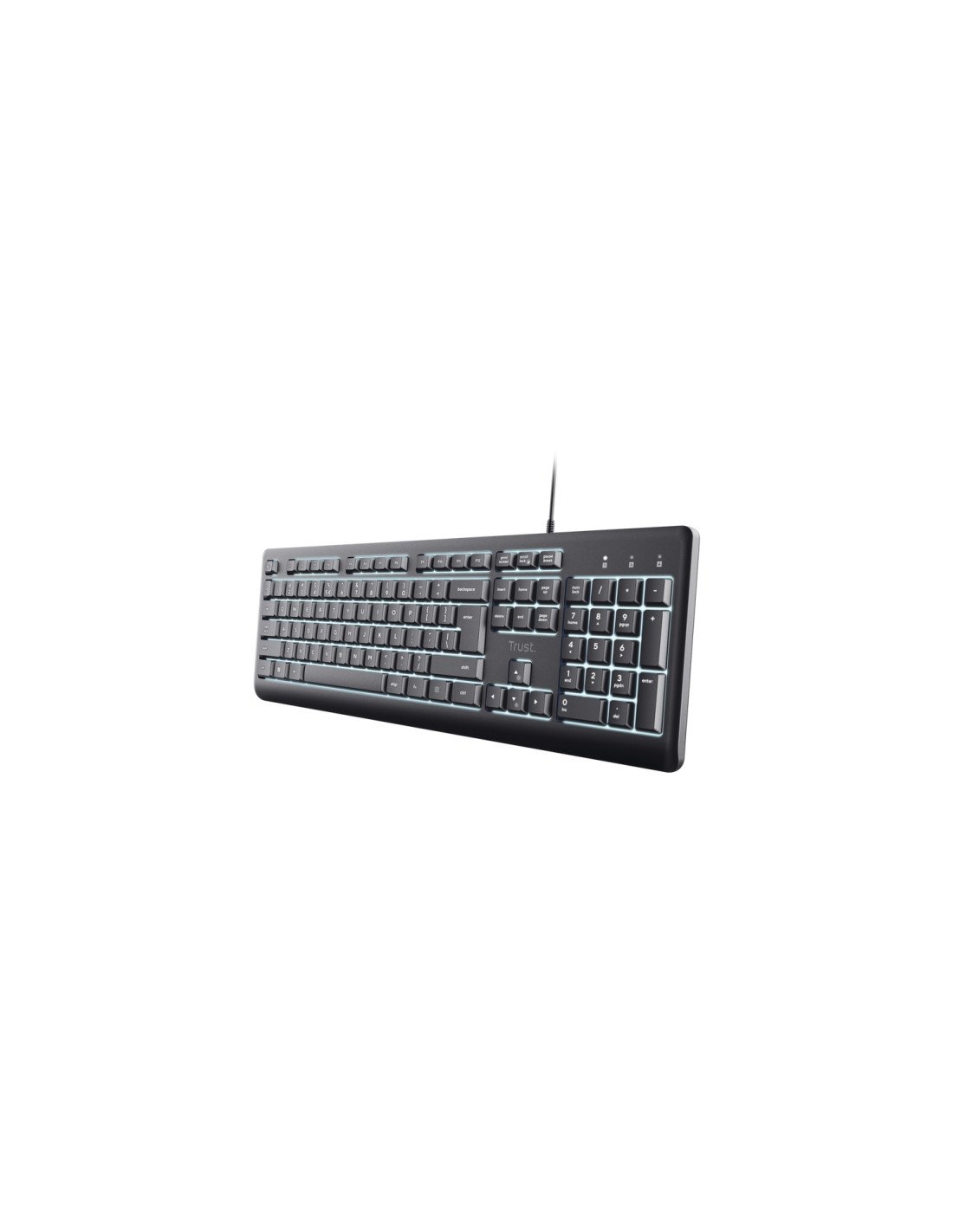 Trust Primo Beleuchtete teclado Hogar / Oficina USB QWERTY Español Negro
