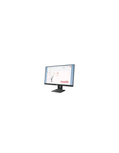 Lenovo ThinkVision E24-40 Monitor 2