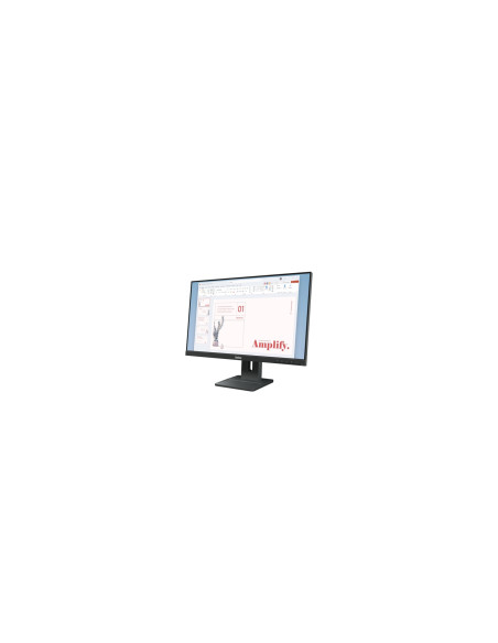 Lenovo ThinkVision E24-40 Monitor