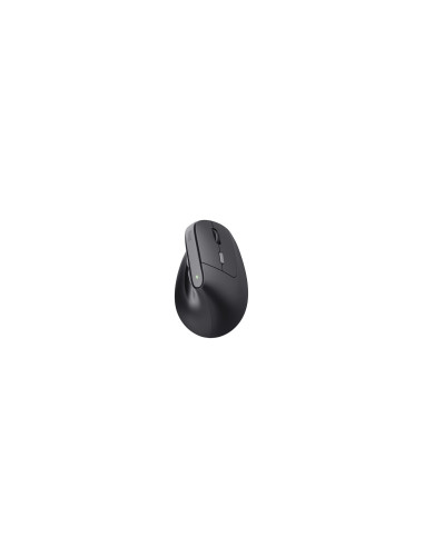 Trust TM-270 ratón Oficina mano derecha RF inalámbrico Óptico 2400 DPI