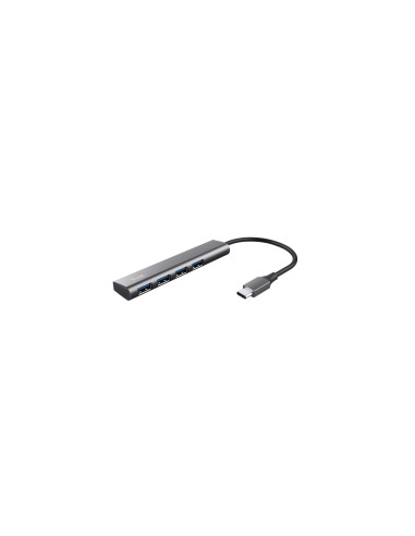 Trust Halyx USB 3.2 Gen 1 (3.1 Gen 1) Type-A 5 Mbit/s Gris