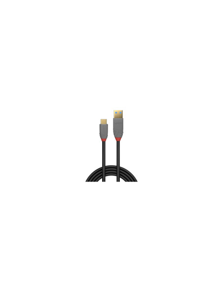 Lindy 36911 cable USB 1 m USB C USB A 10 Gbit/s Negro, Gris