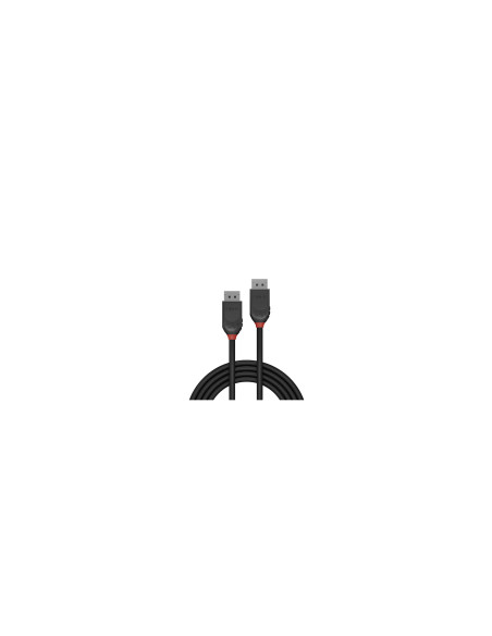 Lindy 36492 cable DisplayPort 2 m Negro