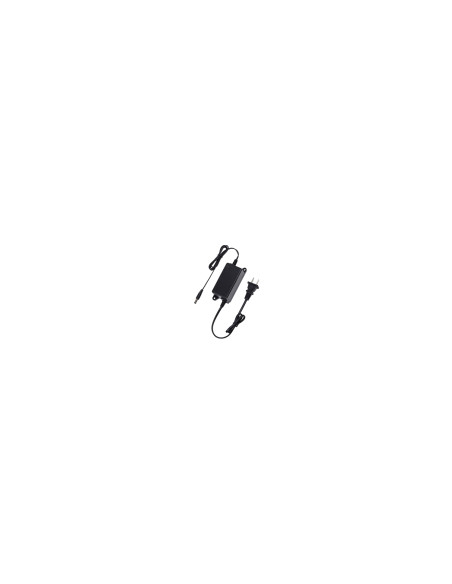 Dahua Technology PFM320 adaptador e inversor de corriente Universal